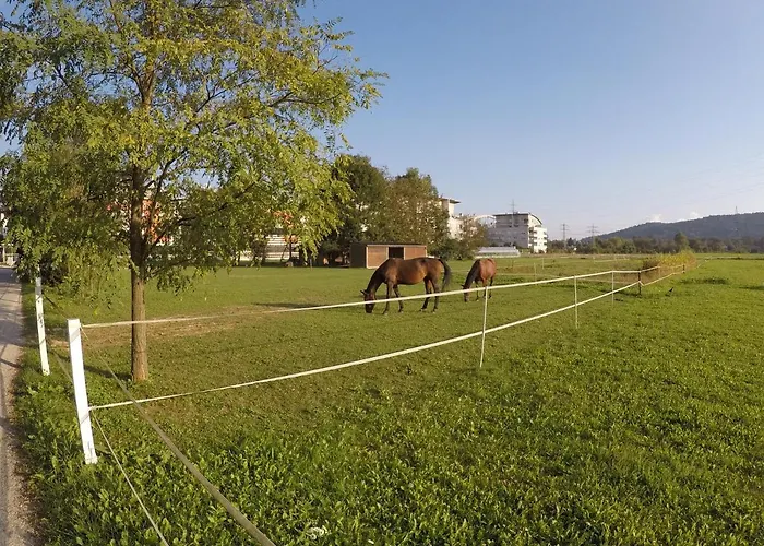 Pearl Of Sava Wild Waters Holiday home *